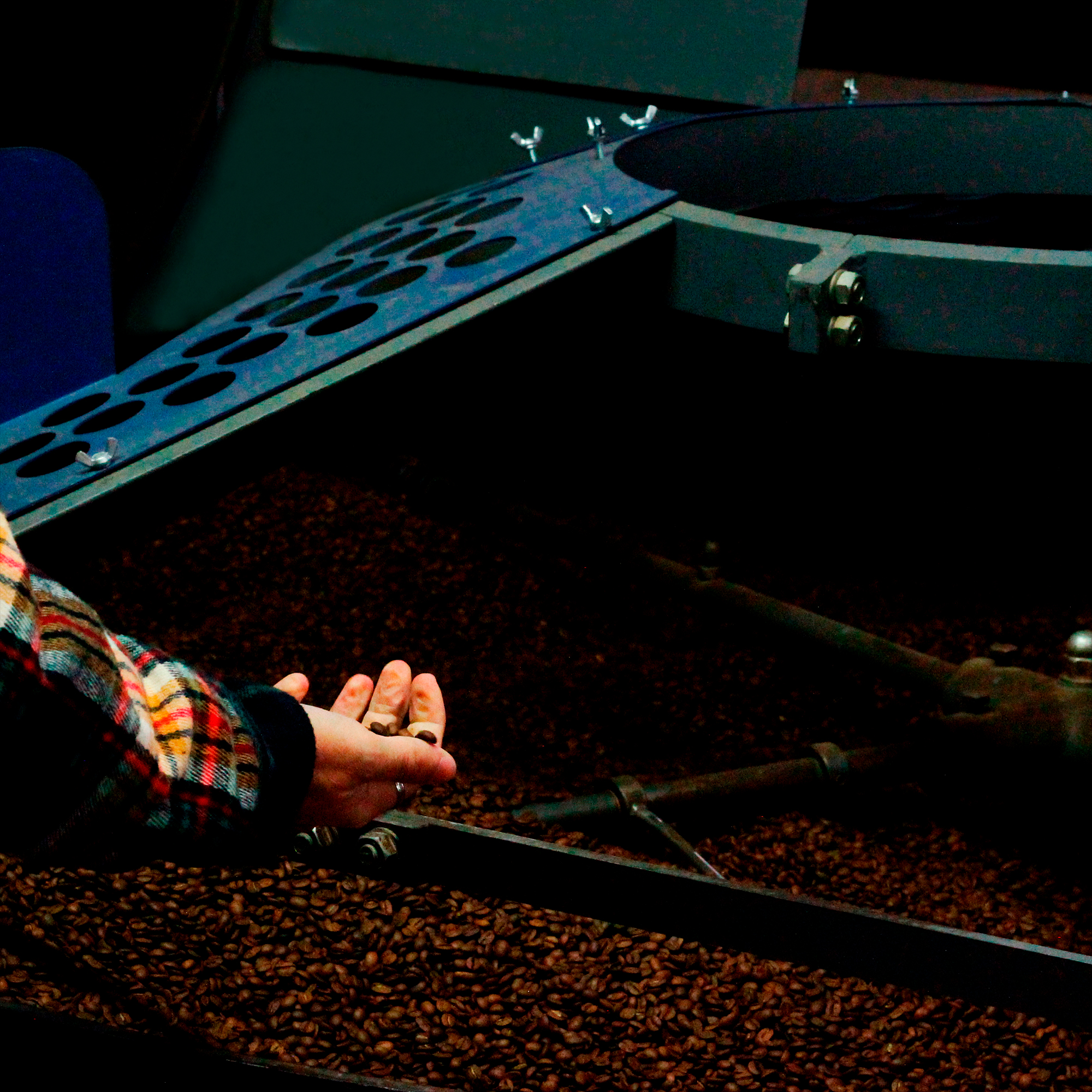Granos de café Cofesa